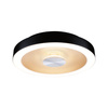 Plafoniera VOLEA 18W DIM 320MM 2120lm 3000K IP44 230V czarny / złoty / tworzywo sztuczne
