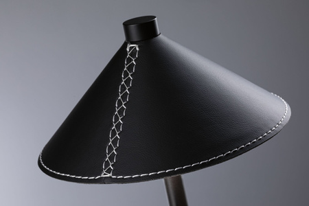 Pellini down LED  WhiteSw USBC Sz PU M PAULMANN PL71175