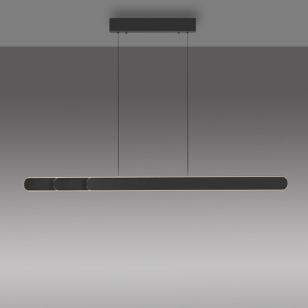 Lampa Wisząca Czarny ADRIANA ROUND 003902-032158 PAUL NEUHAUS