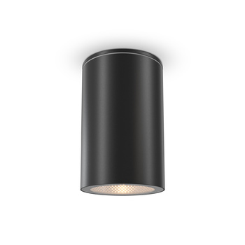 Lampa sufitowa Czarny/Black Roll Maytoni O307CL-01B
