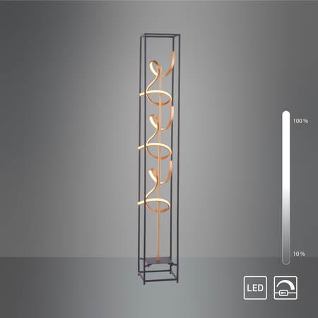 Lampa Podłogowa Czarny/złoty SELINA 003902-032187 Newgarden