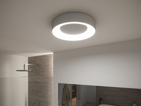 Casca IP44 ZB LED  RGBW TunW 20W Alu Met PAULMANN PL75415