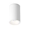Lampa sufitowa WHITE Zoom Maytoni C029CL-01-S-W