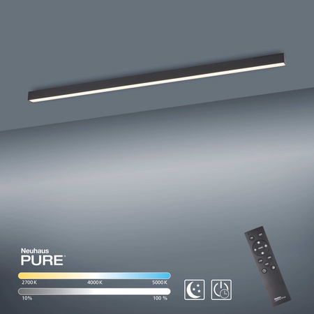 Lampa Sufitowa Antracyt PURE-LINES 003902-026019 Newgarden