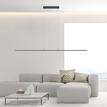 Lampa Wisząca Antracyt PURE-LITE 003902-029190 Newgarden