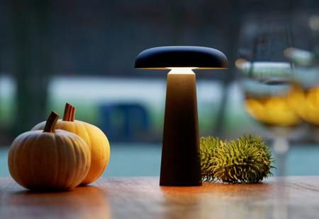 Lampa Grzybkowa stołowa na baterie ULFN404 Unilight