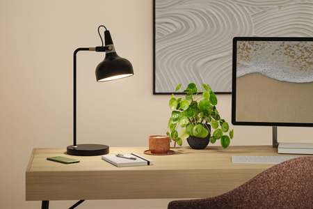 Juna TL max.1x20W E14 Sz Go Met PAULMANN PL78479