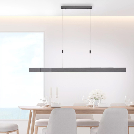 Lampa Wisząca Szary PURE-MOTO 003902-025680 Newgarden