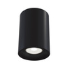 Lampa sufitowa C012CL-01B Maytoni