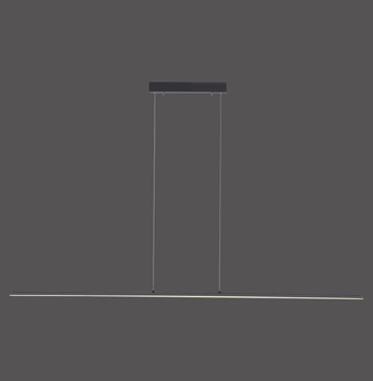 Lampa Wisząca Antracyt PURE-LITE 003902-029190 Newgarden