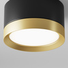 Lampa sufitowa Black with gold Hoop Maytoni C086CL-GX53-SRD-BG