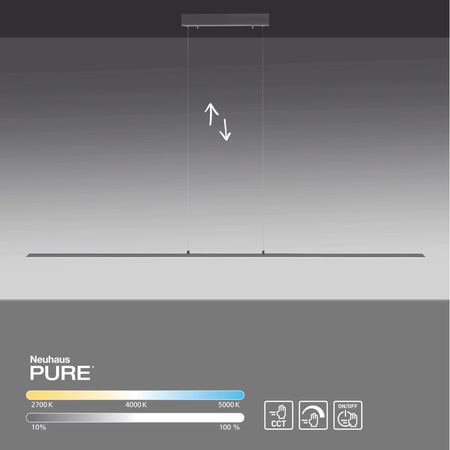 Lampa Wisząca Antracyt PURE-LITE 003902-029190 Newgarden