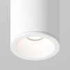 Lampa sufitowa WHITE Zoom Maytoni C029CL-01-S-W