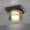 Lampa Sufitowa Czarny RIKA 003902-032205 Newgarden