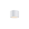 Lampa sufitowa C090CL-10W3K-W Maytoni