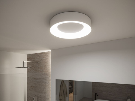 Casca IP44 ZB LED RGBW TunW 20W Ws Met/K PAULMANN PL75414