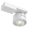 Lampa sufitowa C062CL-L12W3K Maytoni