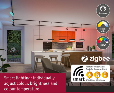 URail ZB Pendel Hildor RGBW 10W Sz m PAULMANN PL95681