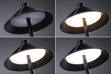 Pellini down LED  WhiteSw USBC Sz PU M PAULMANN PL71175