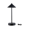 Pellini down LED  WhiteSw USBC Sz PU M PAULMANN PL71175