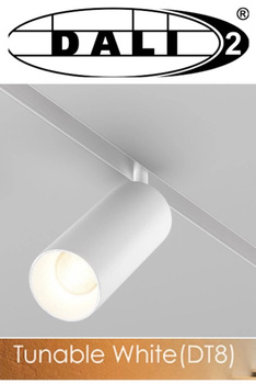 Reflektor Magnetyczny Dali 12W CCT TUNABLE WHITE DT8