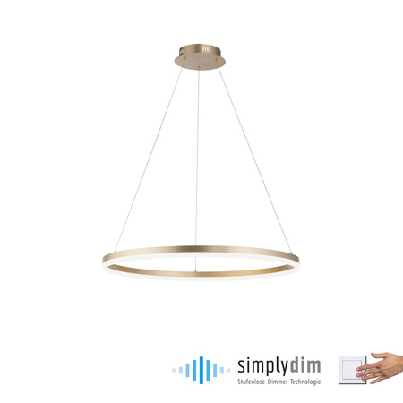 Lampa Wisząca Matowy brąz TITUS 003902-031285 Newgarden