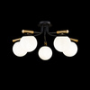 Lampa sufitowa Czarny/Black Paolina Maytoni MOD141CL-05B