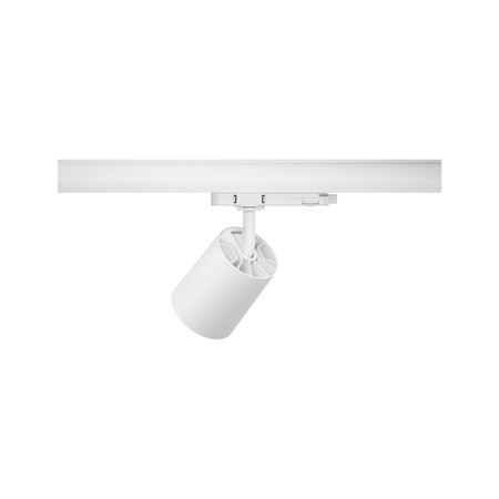 Reflektor na szynoprzewód ProRail3 KRATOS 25W 36st. 4000K 230V biały / metal