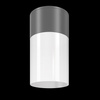 Lampa sufitowa Graphite Willis Maytoni O418CL-01GR