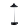 Pellini down LED  WhiteSw USBC Sz PU M PAULMANN PL71175