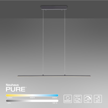 Lampa Wisząca Antracyt PURE-LITE 003902-029355 Newgarden