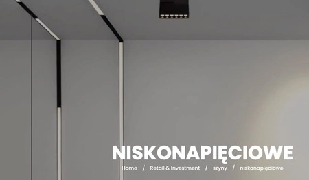 Szyna magnetyczna podtynkowa do płyt G-K 12,5 mm, czarna, 48V – nowoczesny system oświetleniowy 2m