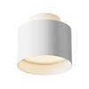 Lampa sufitowa C009CW-L12W Maytoni