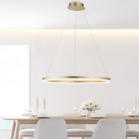 Lampa Wisząca Matowy brąz TITUS 003902-031285 Newgarden