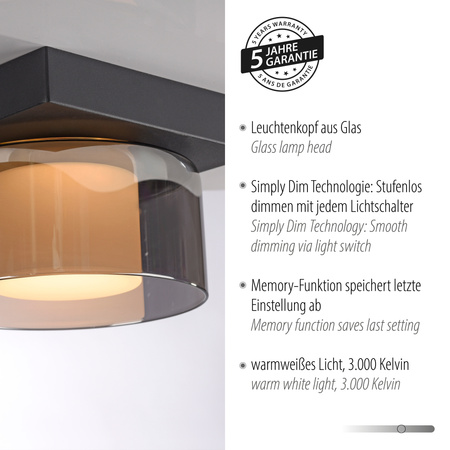 Lampa Sufitowa Czarny RIKA 003902-032205 Newgarden