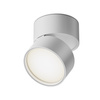 Lampa sufitowa C024CL-L12W4K Maytoni