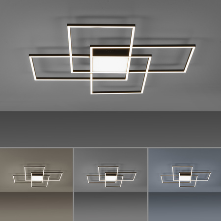 Lampa Sufitowa Czarny Q-ASMIN 003902-032201 Newgarden