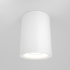 Lampa sufitowa C012CL-01W Maytoni
