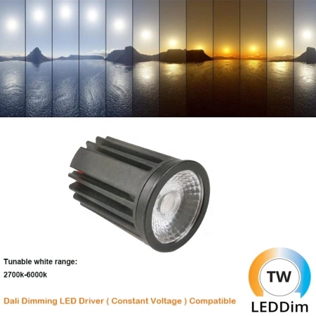 MIAMI PREMIUM CCT Downlight DALI DT8 Bialy- Tunable White