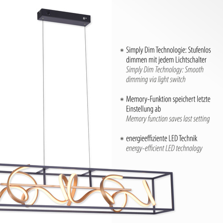 Lampa Wisząca Czarny/złoty SELINA 003902-032152 Newgarden