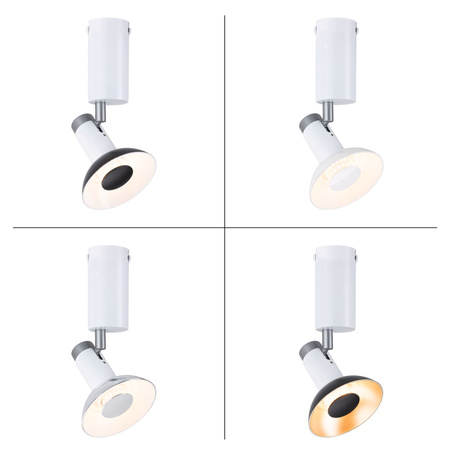 Oprawa ścienno-sufitowa RUNA GU10 max.1x20W 230V biały / szary / metal