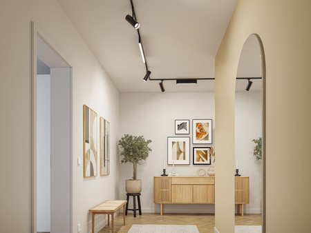 URail Theron 13W Sz matt 3000K 3StepDim PAULMANN PL95696