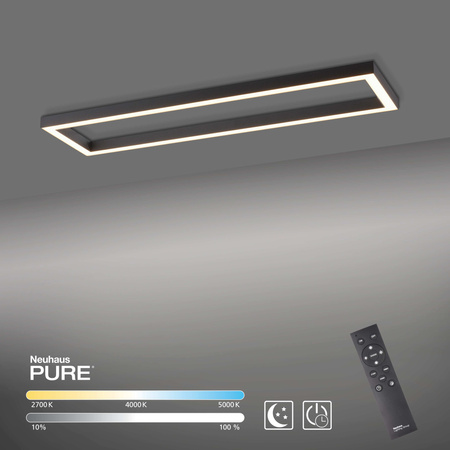 Lampa Sufitowa Antracyt PURE-LINES 003902-027566 Newgarden