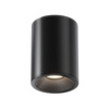 Lampa sufitowa C029CL-01B Maytoni