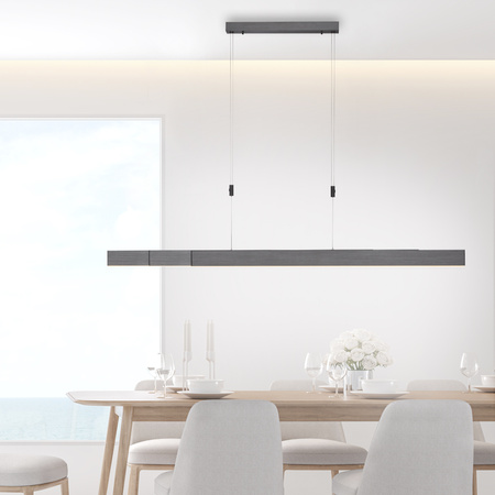 Lampa Wisząca Szary PURE-MOTO 003902-025680 Newgarden