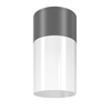 Lampa sufitowa Graphite Willis Maytoni O418CL-01GR