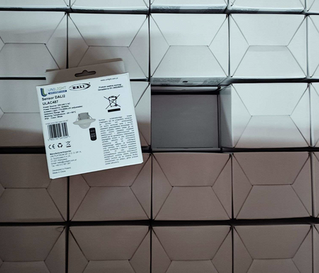 Multisensor DALI-2 standalone – inteligentny czujnik ruchu