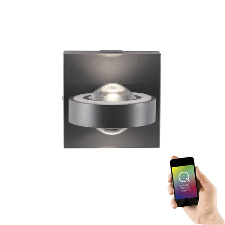 Kinkiet Antracyt Q-MIA 003902-029607 Newgarden