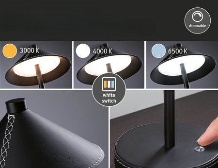 Pellini down LED  WhiteSw USBC Sz PU M PAULMANN PL71175