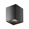 Lampa sufitowa C030CL-01B Maytoni